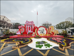 新春走下层｜温州龙港：来小城过大年